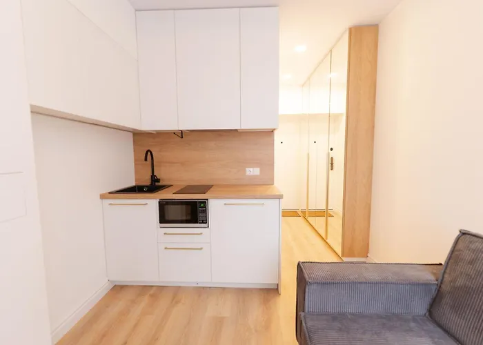 New Modern And Cozy In The Old Town 아파트