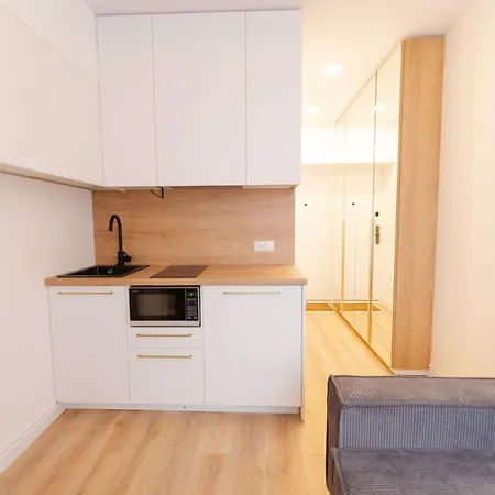 New Modern And Cozy In The Old Town 아파트